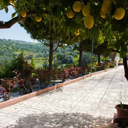 Aelia בית נופש Elia (Crete)